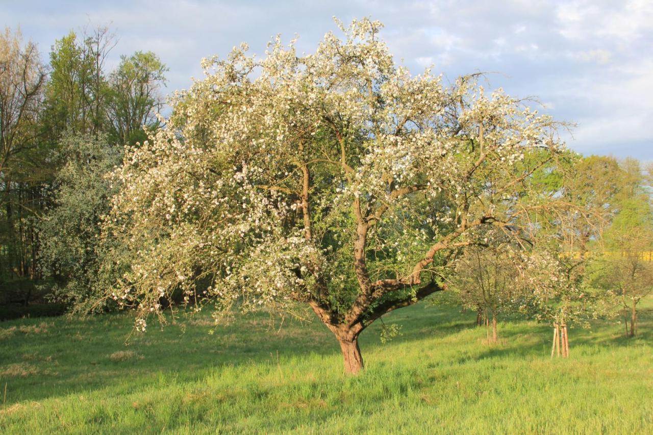 Apfelscheune Cannewitz Malschwitz Exterior foto