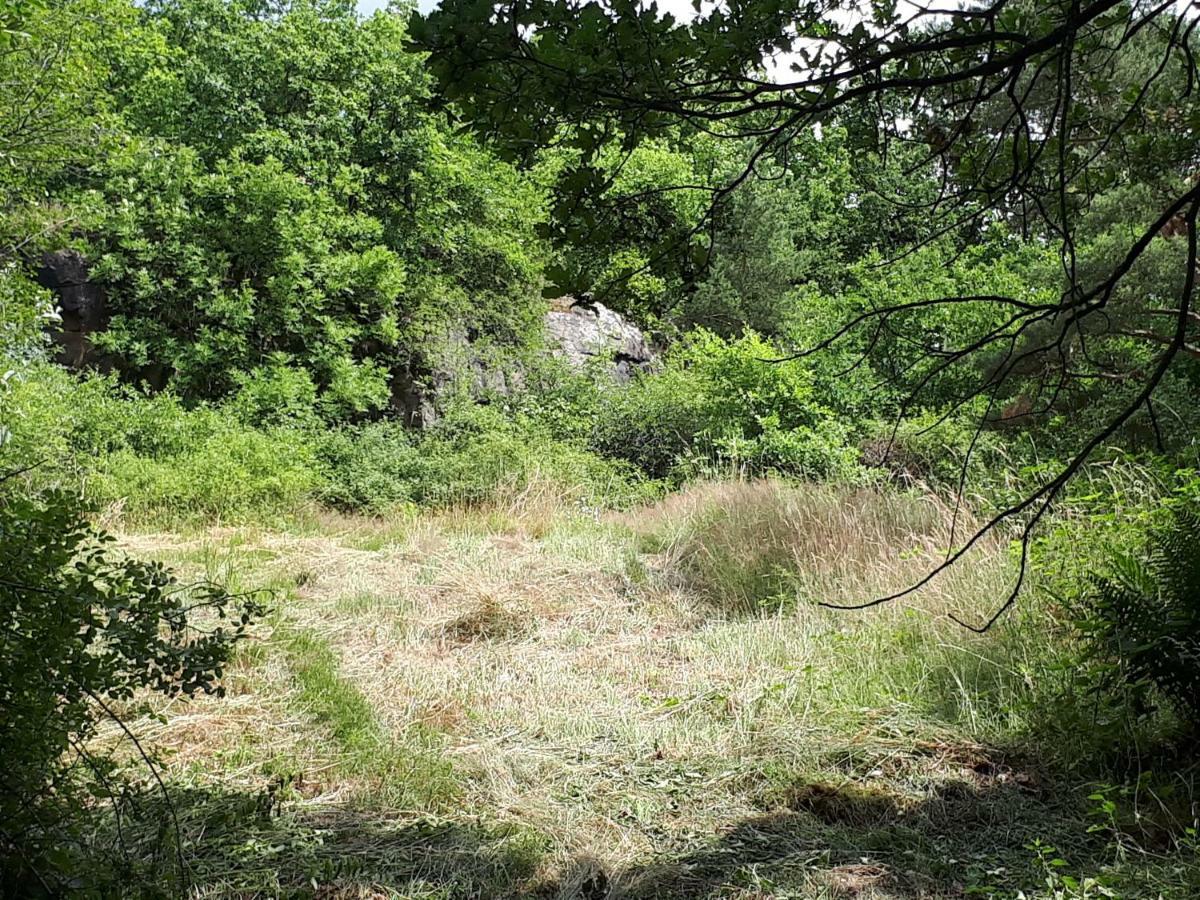 Apfelscheune Cannewitz Malschwitz Exterior foto