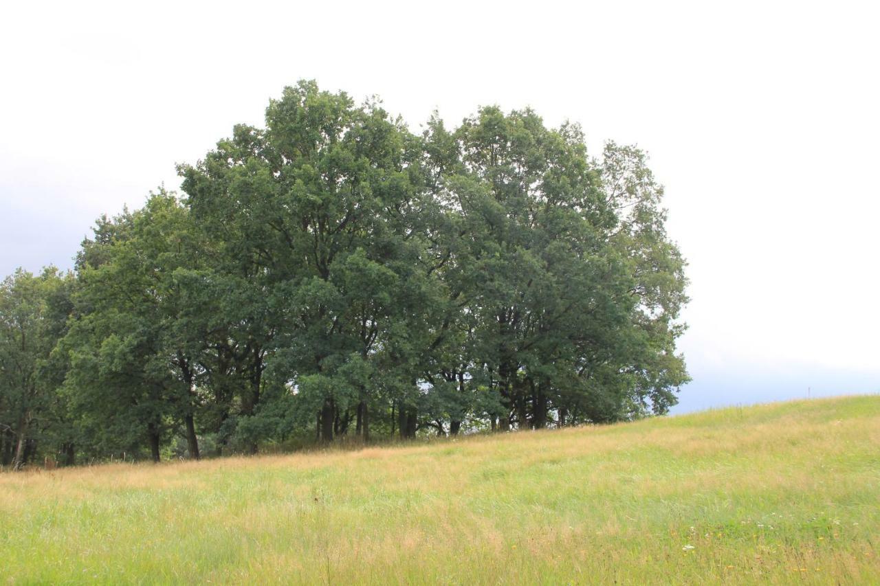 Apfelscheune Cannewitz Malschwitz Exterior foto